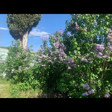 Holiday home Petite